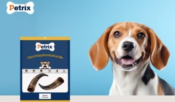 What’s Inside Your Dog’s Favourite Treat? A Guide to Healthy Ingredients