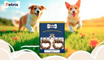 The Science Behind Why Dogs Love Chews and Treats So Much