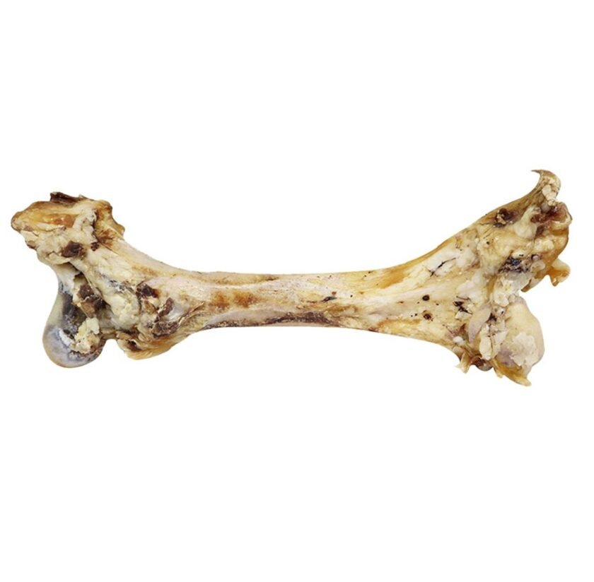 Jumbo Bone