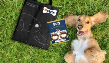 How to Choose the Right Dog Chew for Your Dog’s Size and Age