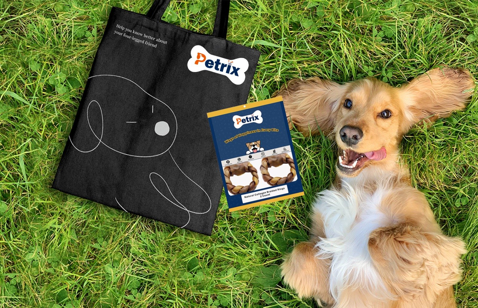 How to Choose the Right Dog Chew for Your Dog’s Size and Age