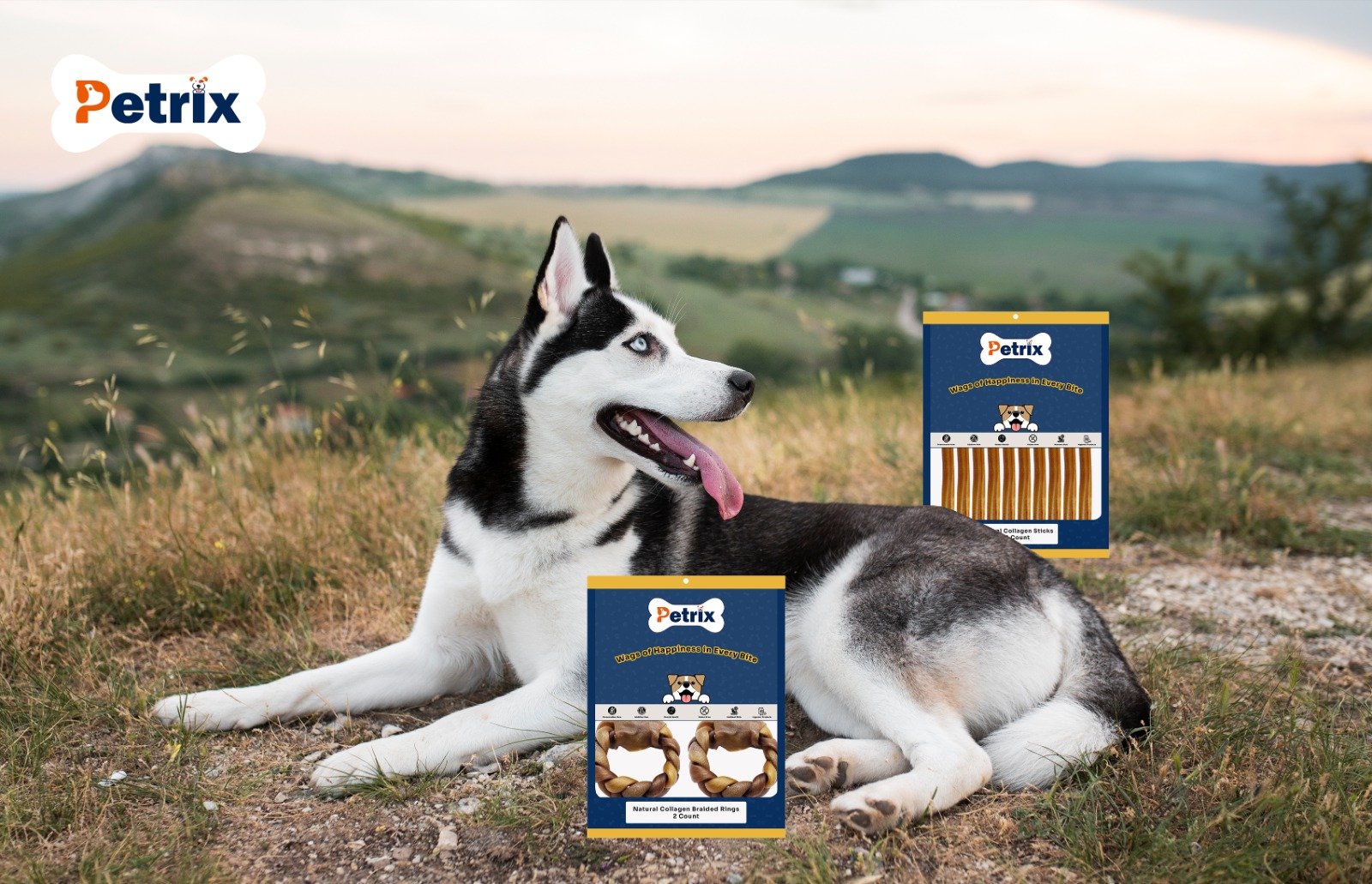 How Dog Chews Can Help Prevent Destructive Chewing Behavior
